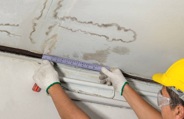 Reliable Burst Pipe Cleanup contractor in McHenry, MS by Water Damage Irwin